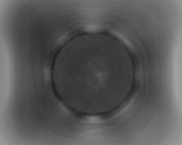 X0000113940689200910021303