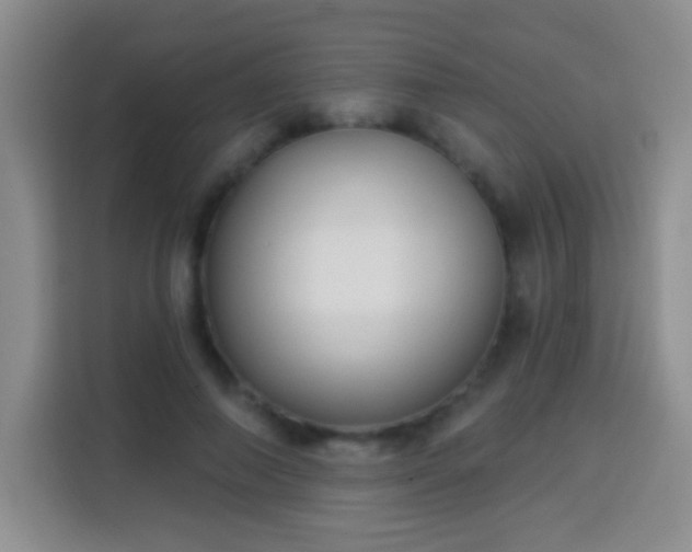 X0000113940690200910021303