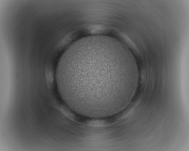 X0000113940691200910021303