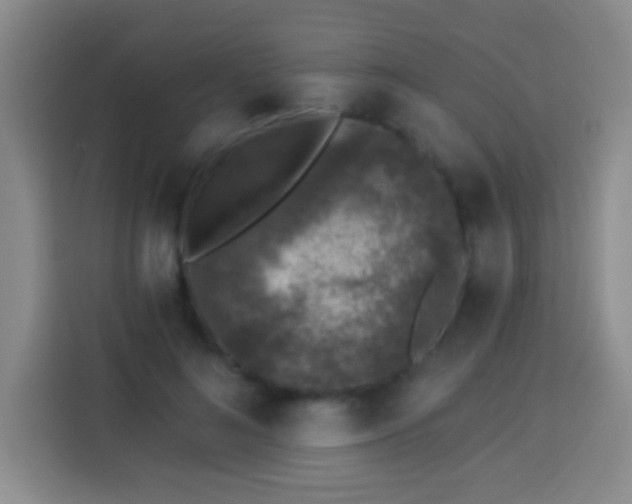 X0000113940692200910021303