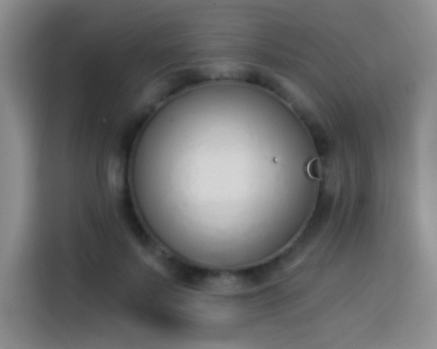 X0000113940695200910021303