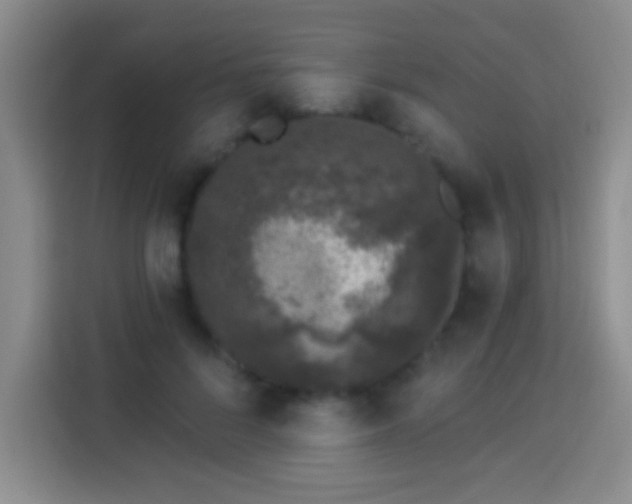 X0000113940696200910021303