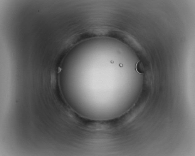 X0000113940697200910021303