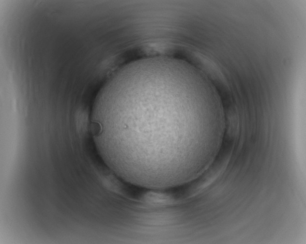 X0000113940699200910021303