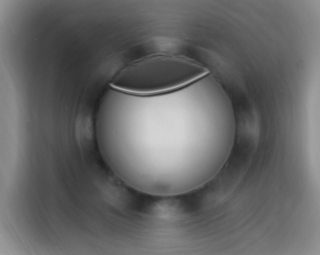 X0000113940700200910021302