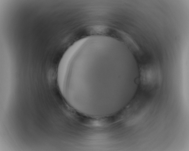 X0000113940701200910021302