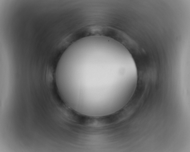 X0000113940702200910021302