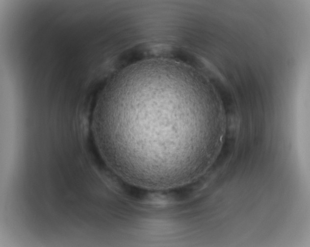 X0000113940703200910021302