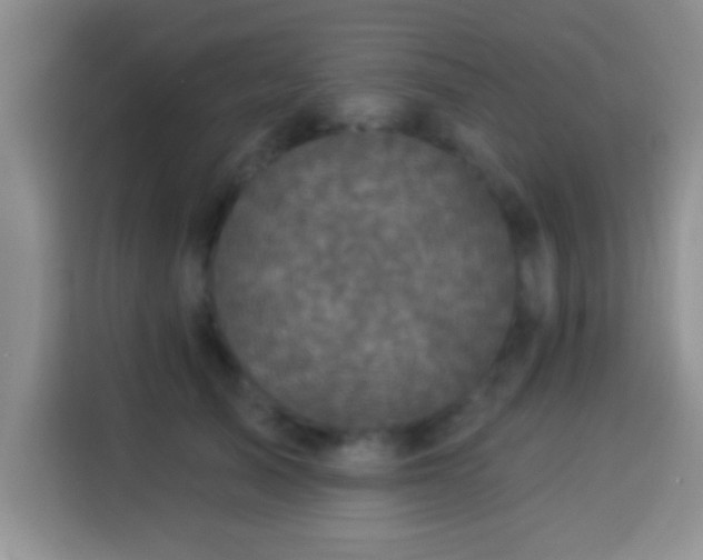 X0000113940705200910021302