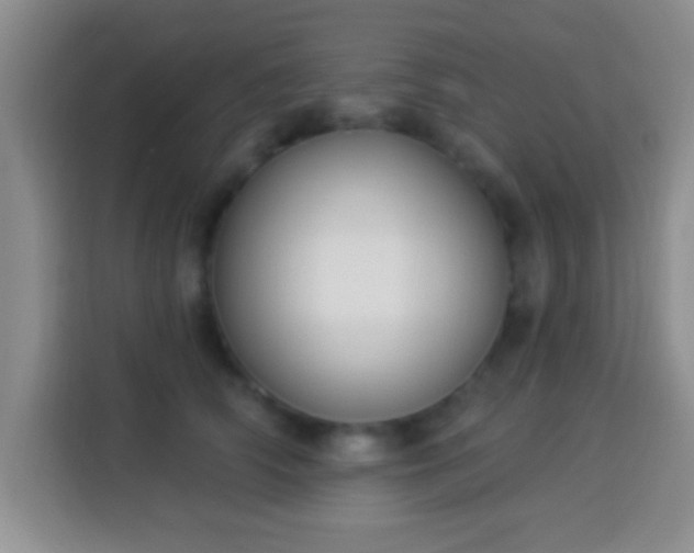 X0000113940706200910021302