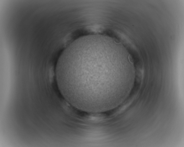 X0000113940707200910021302