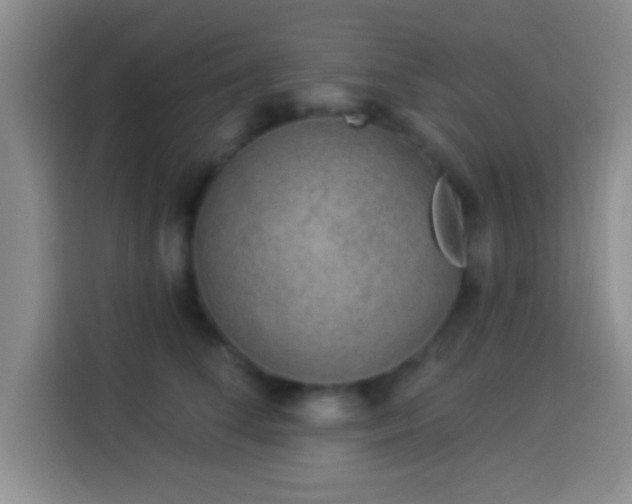 X0000113940708200910021302