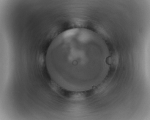 X0000113940709200910021302