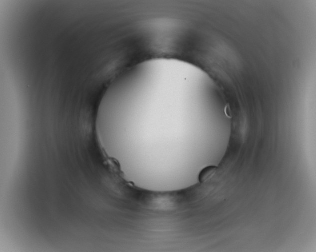 X0000113940710200910021302