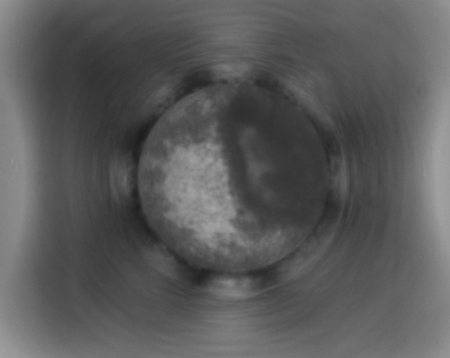 X0000113940712200910021302