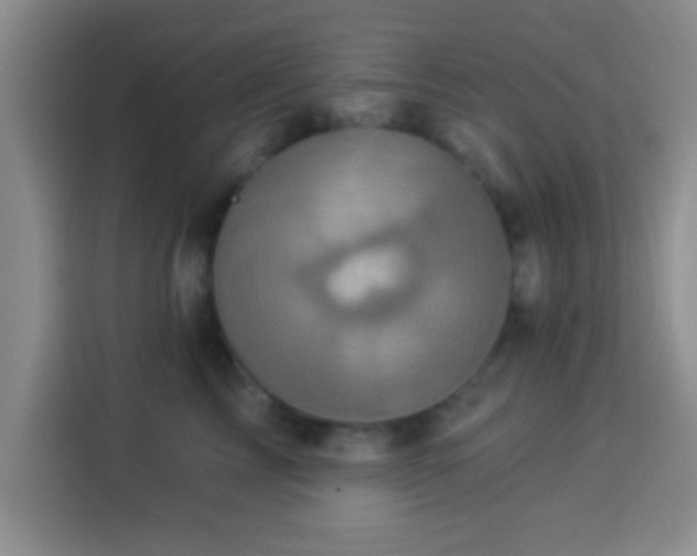 X0000113940713200910021302