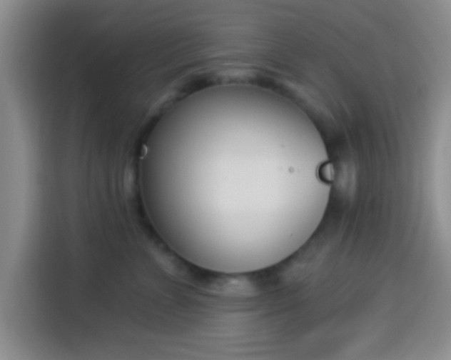 X0000113940715200910021302