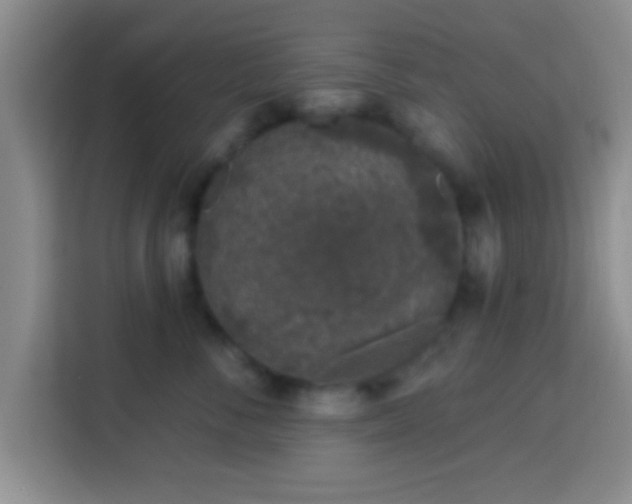 X0000113940716200910021302