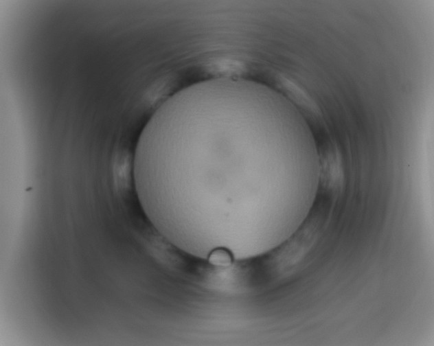 X0000113940717200910021302