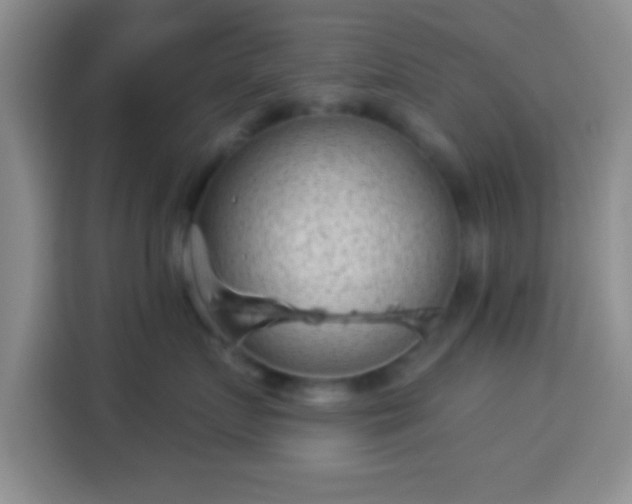 X0000113940719200910021302