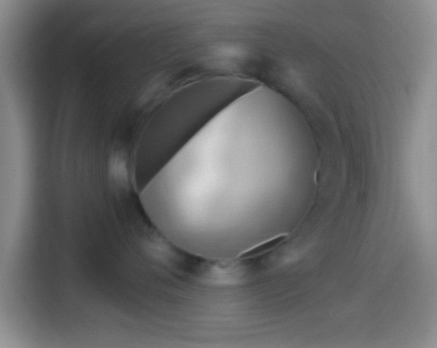 X0000113940720200910021302