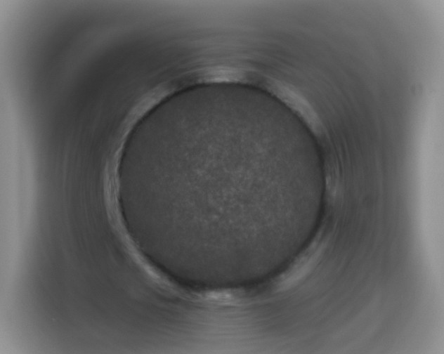 X0000113940721200910021302