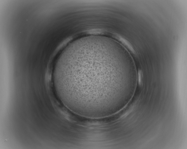 X0000113940723200910021302