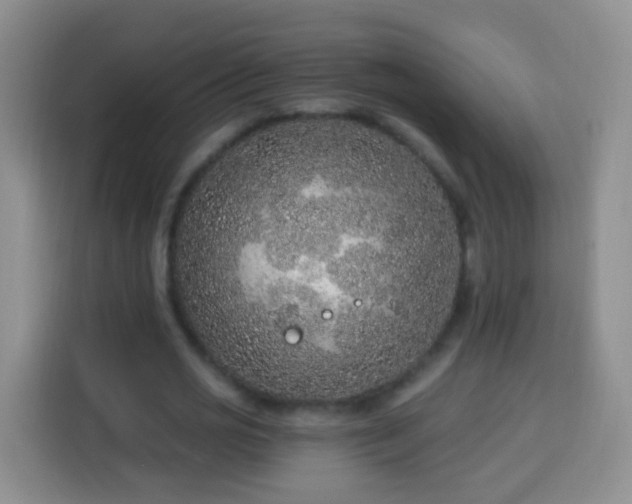 X0000113940725200910021302