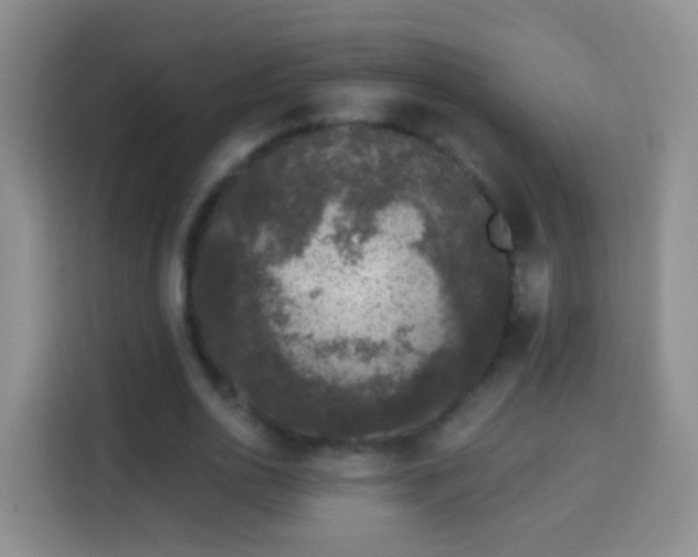 X0000113940726200910021302