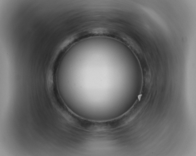 X0000113940727200910021302