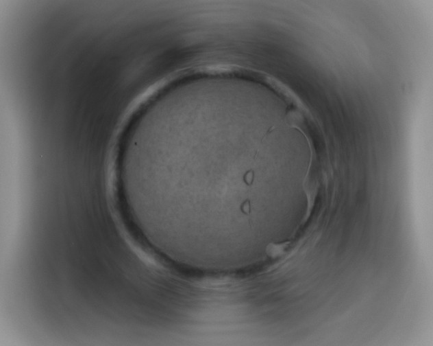 X0000113940728200910021302