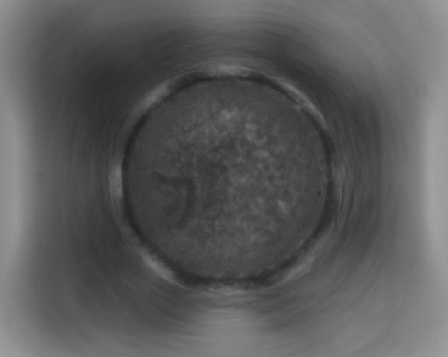 X0000113940729200910021302