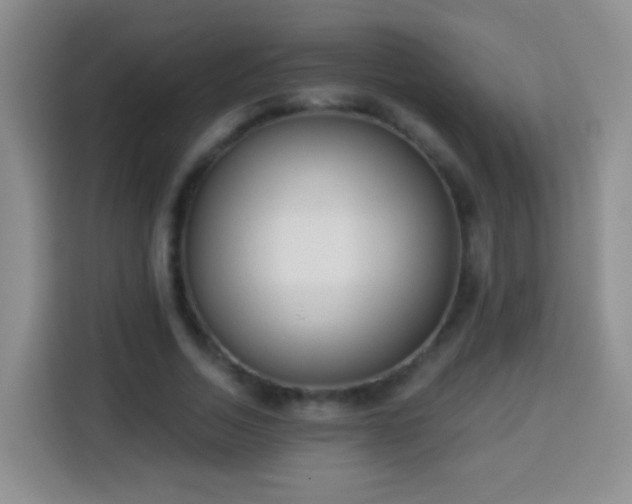 X0000113940730200910021302