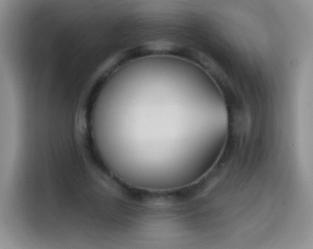 X0000113940731200910021302