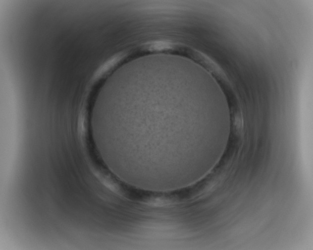 X0000113940732200910021302