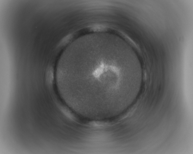 X0000113940733200910021302