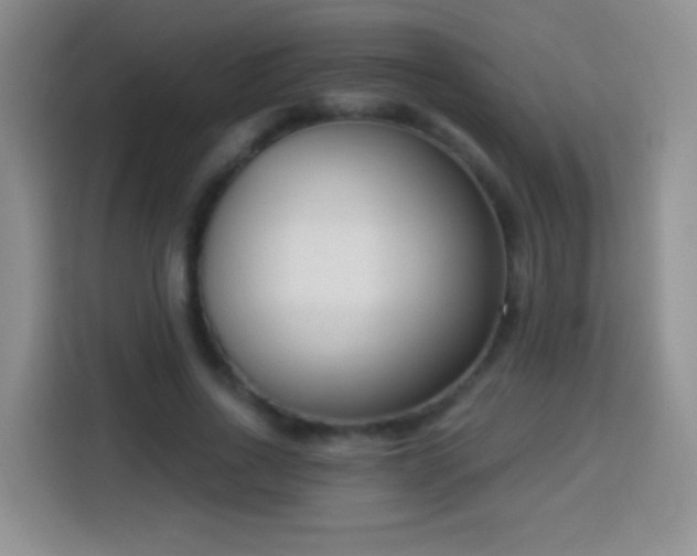 X0000113940734200910021302