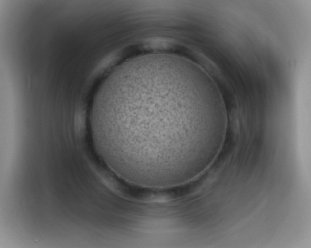 X0000113940735200910021302