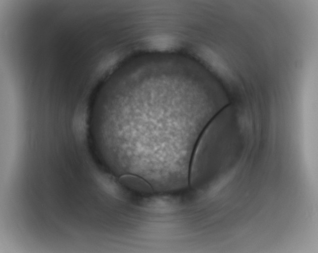 X0000113940736200910021302