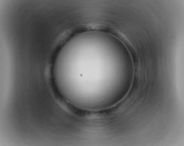 X0000113940738200910021302