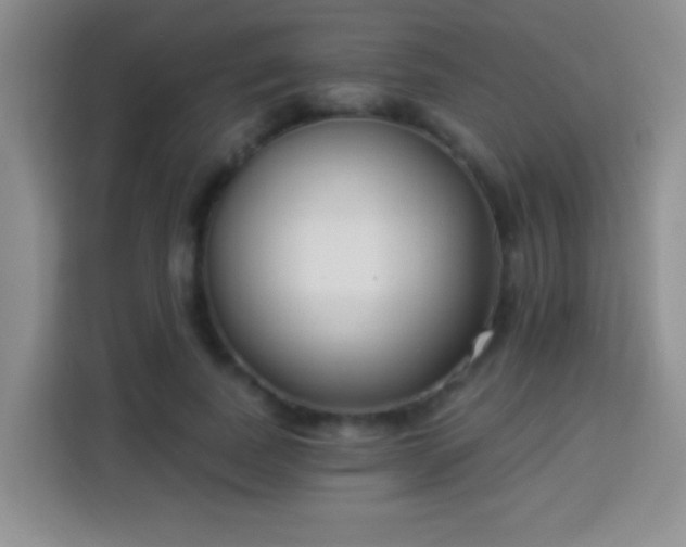 X0000113940739200910021302