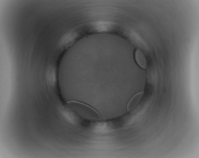 X0000113940740200910021302