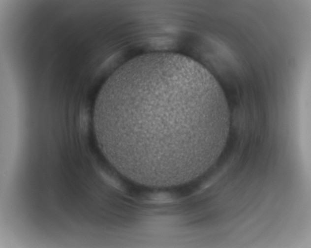 X0000113940741200910021302