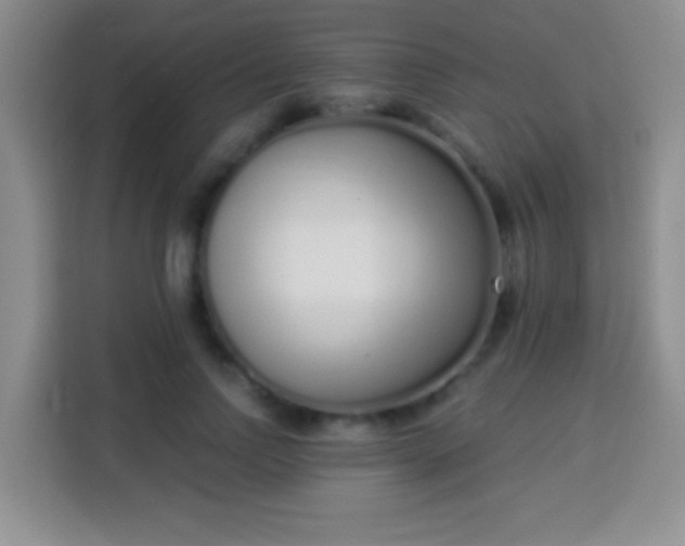 X0000113940742200910021302