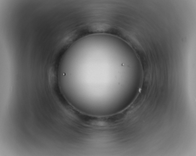 X0000113940743200910021302