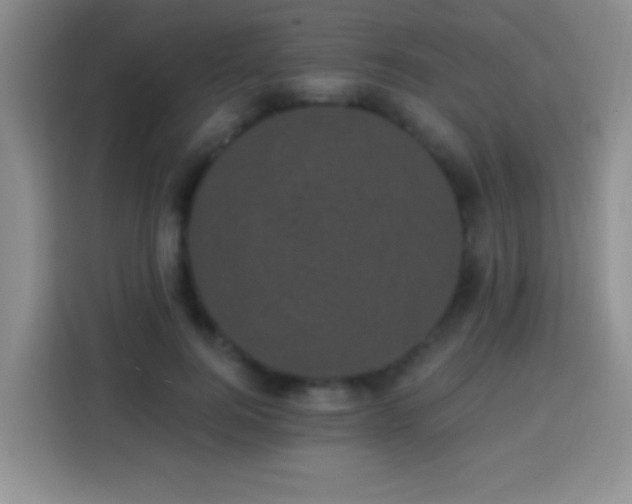 X0000113940744200910021302