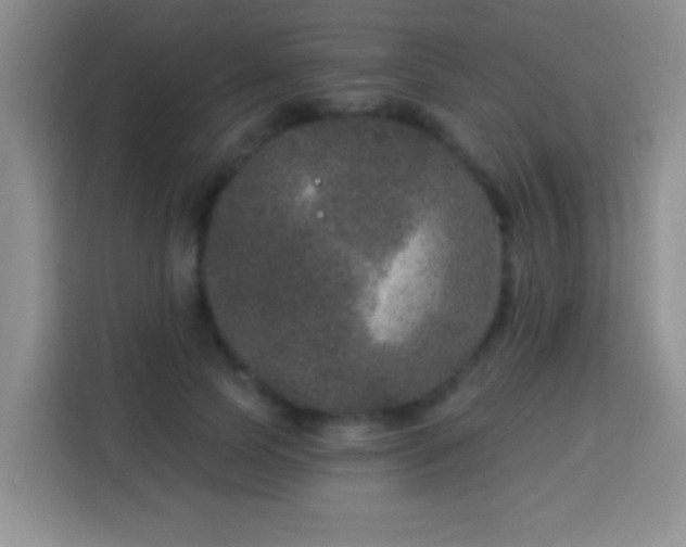 X0000113940745200910021302