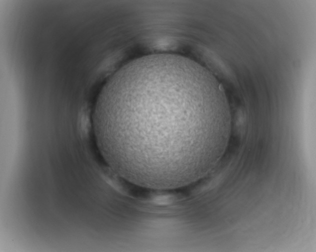 X0000113940746200910021302