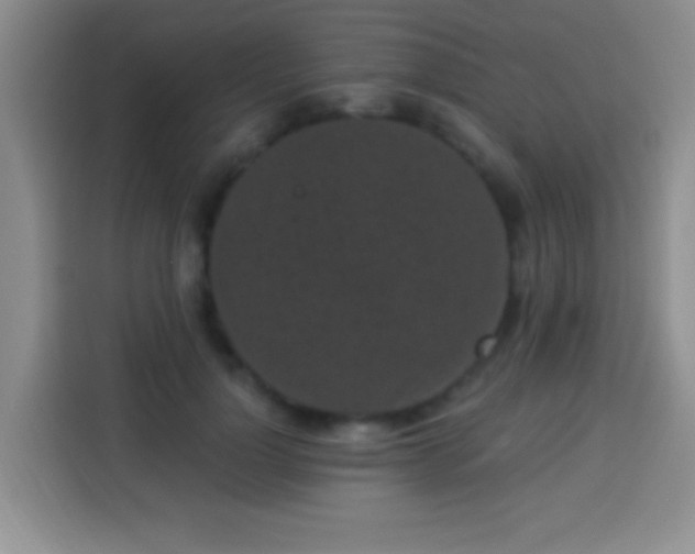 X0000113940748200910021302