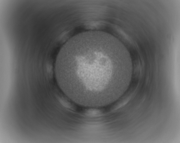 X0000113940749200910021302